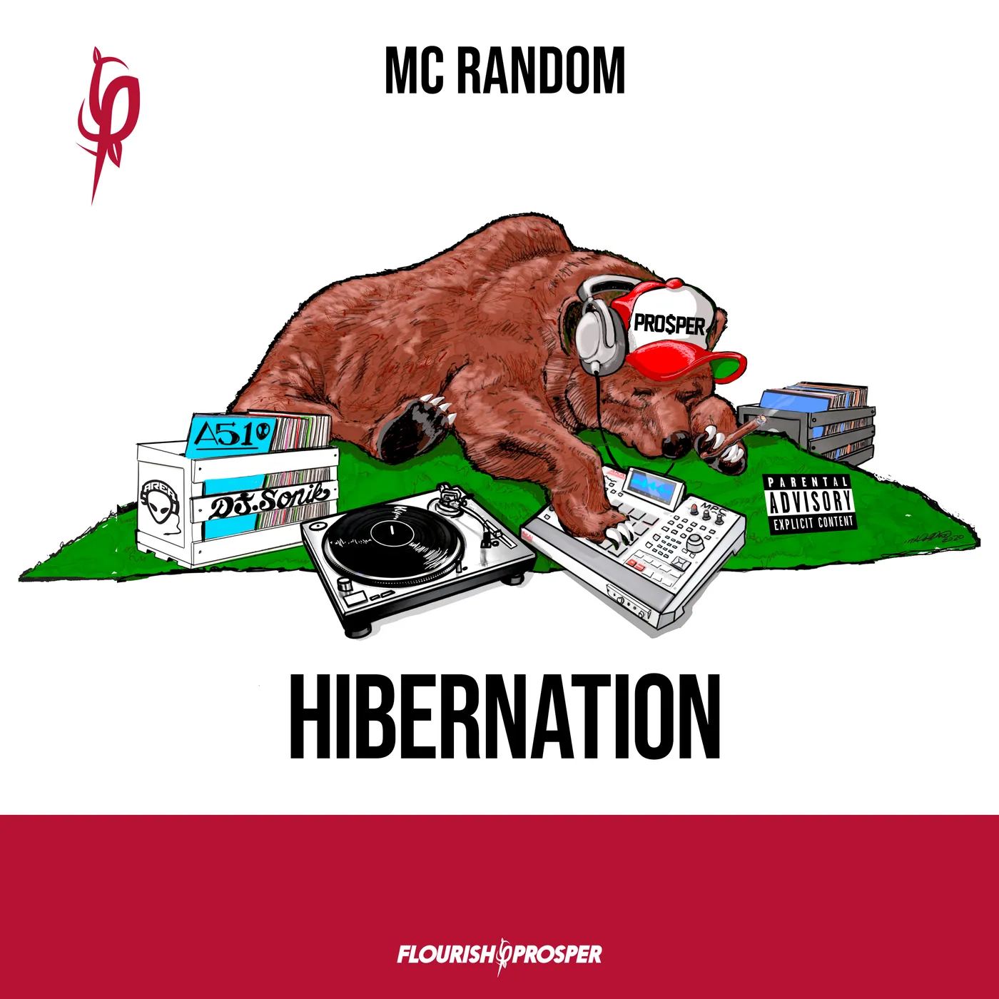 Hibernation artwork