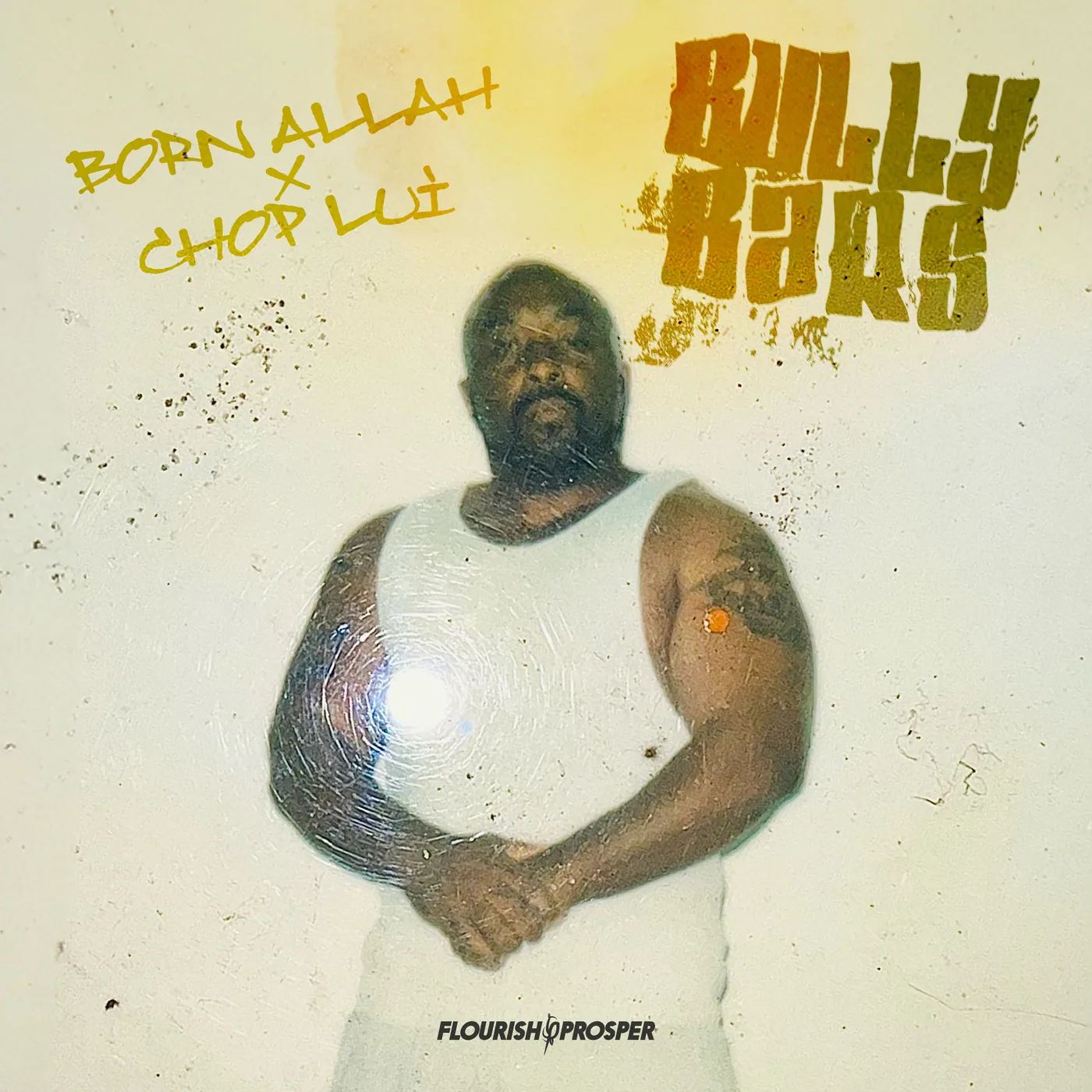 Bully Bars artwork