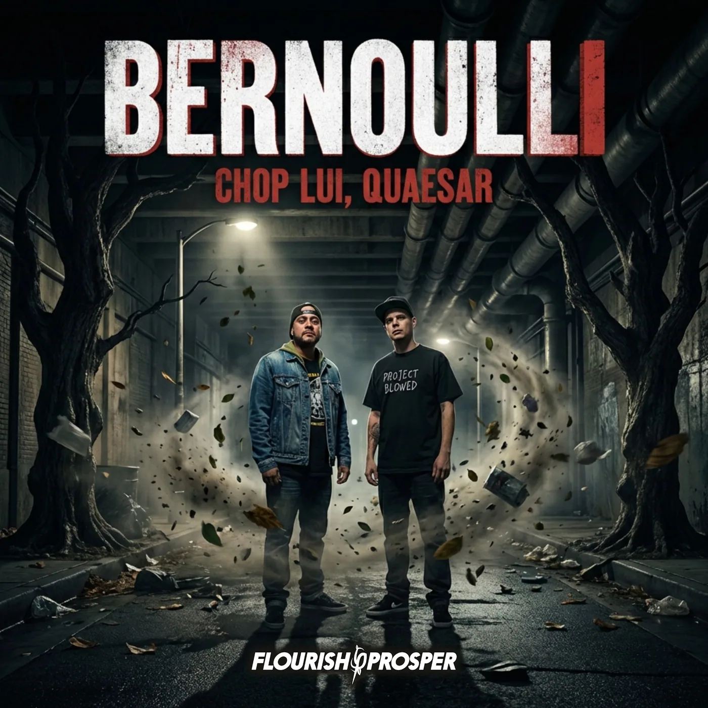 Bernoulli artwork