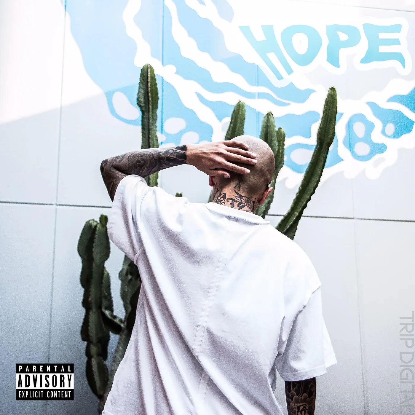 Hope artwork