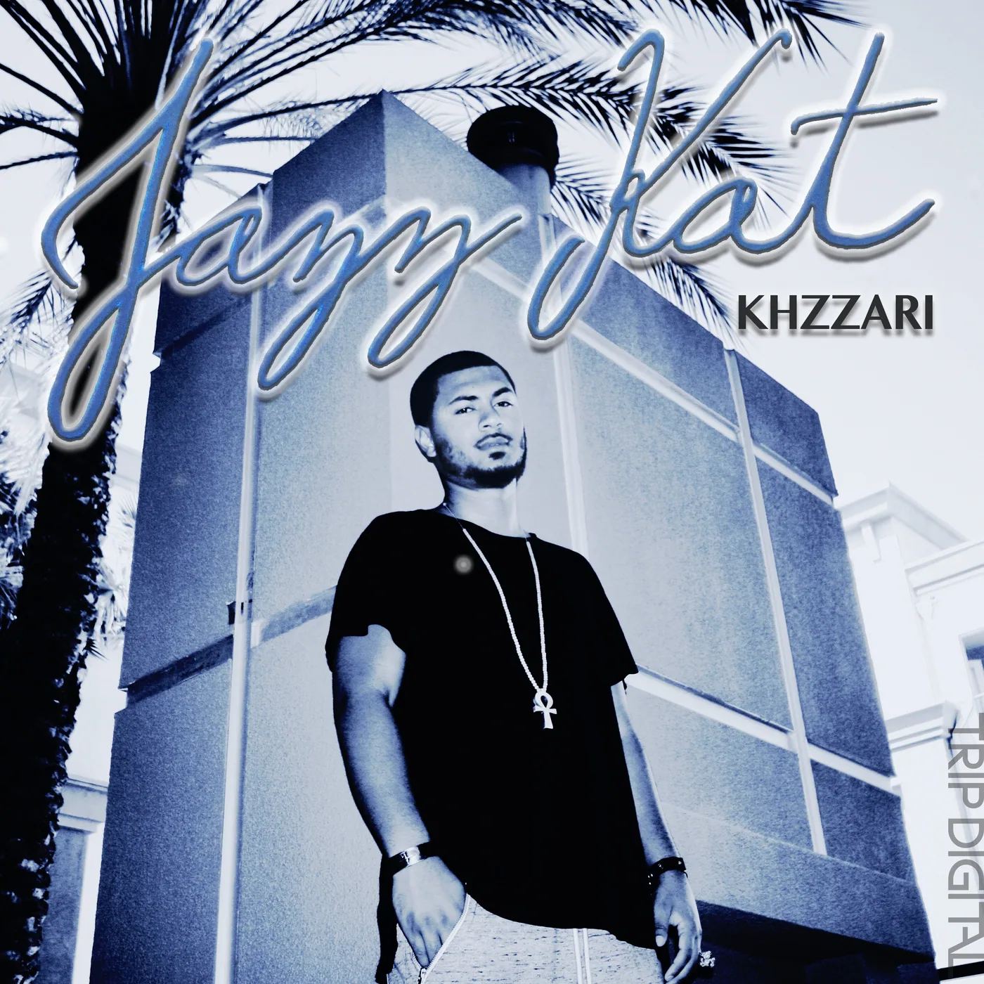 Jazz Kat (feat. DJ Journey) artwork