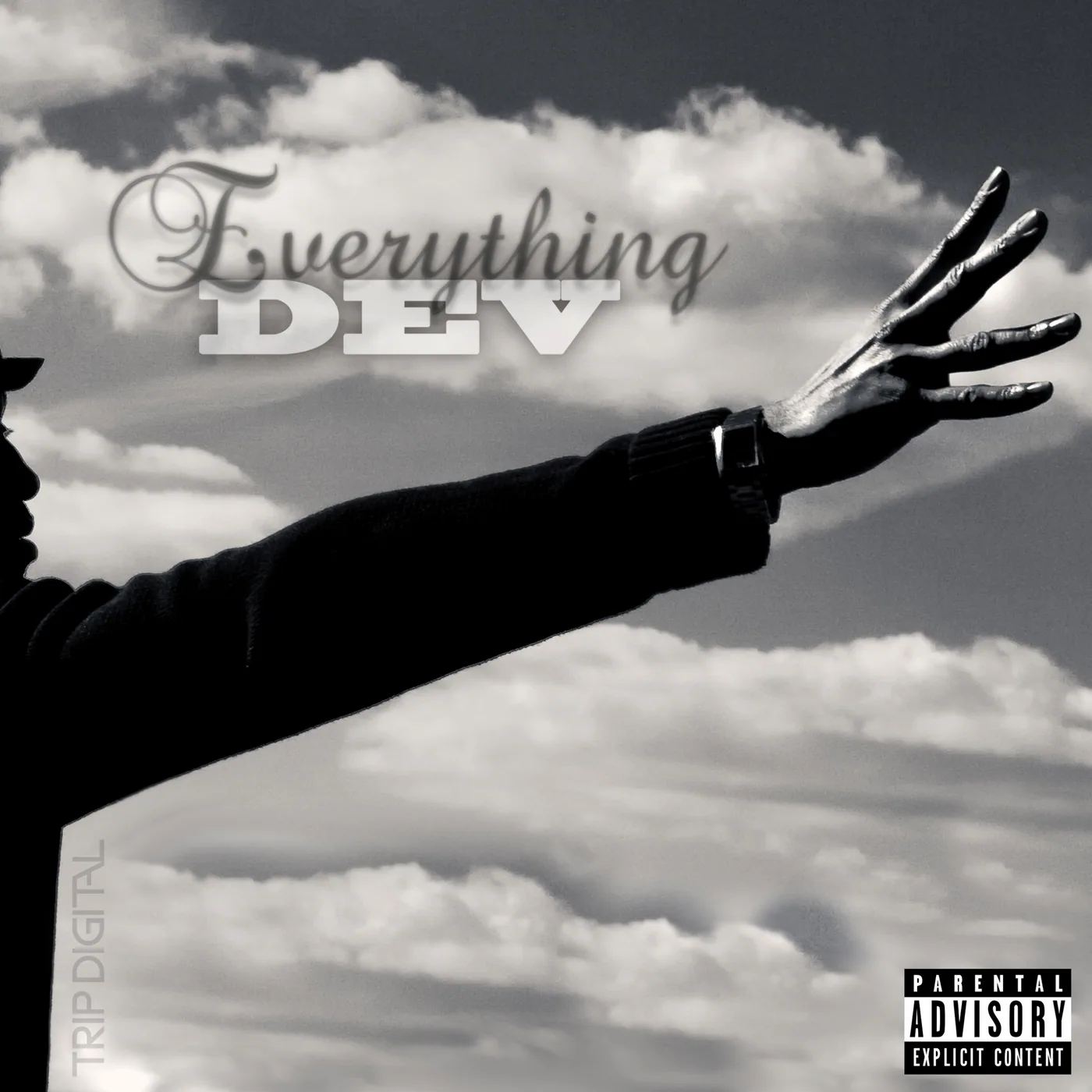 Everything artwork