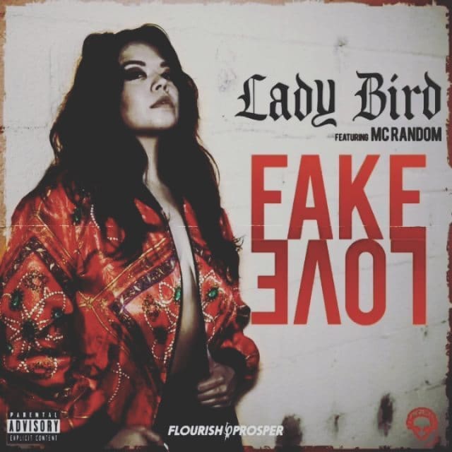 LINK IN BIO!! #fakelove @champagnepapi knows something about this #ladybirdmusic...
